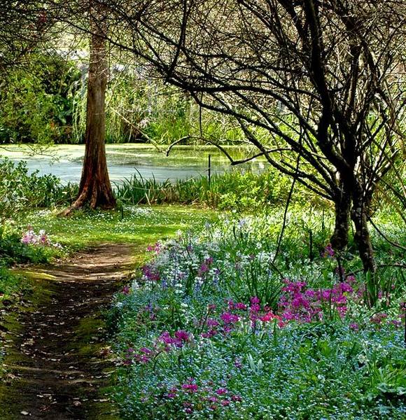 Ботанический сад Foxglove Spires в Австралии - фото