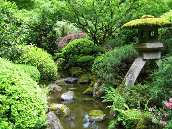 Что посадить в японском саду с фото