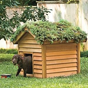 Декор крыши будки для собаки - фото