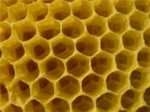 Секреты пчелиного производства - как делается мед? с фото