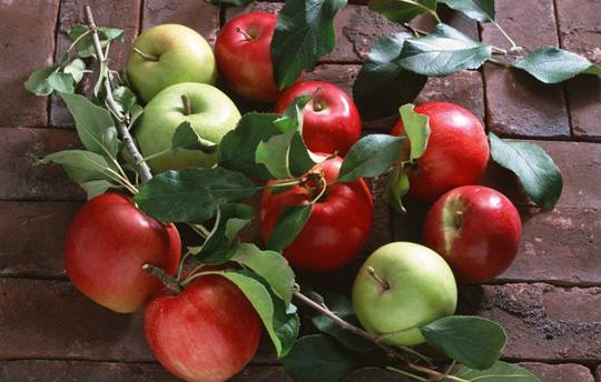 Как сохранить яблоки зимой - фото