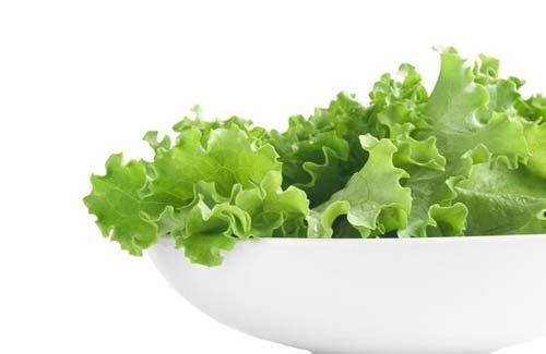 Как вырастить салат в сентябре - фото
