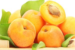 Зимостойкие и морозостойкие сорта абрикосов: описание сортов Восторг, Голдр ... - фото