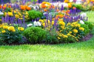 Как создать клумбу непрерывного цветения из многолетников: схема посадки в саду, выбор растений и видео-инструкция с фото