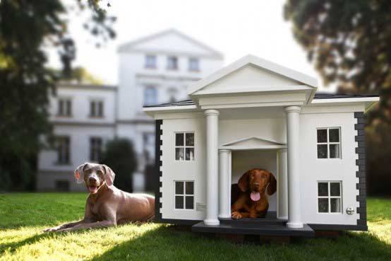 Необычные фото - будки для собак с фото