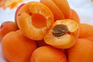Сорта абрикоса Краснощёкий и Сын Краснощекого - одни из самых популярных сортов среди садоводов с фото