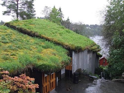 Озеленение крыши травой - дерн как кровельный материал - фото