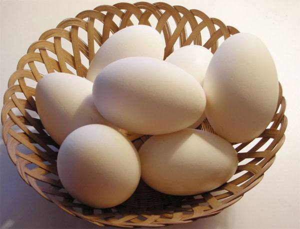 Причины дефектов куриных яиц - фото