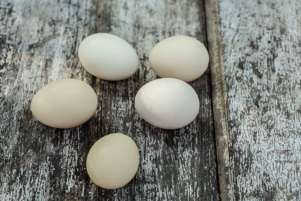 По каким причинам куры несут яйца без скорлупы - фото