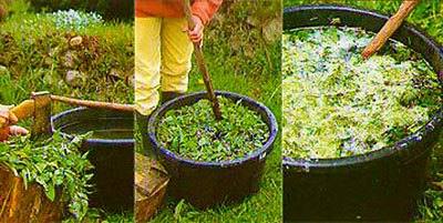 Подкормки сада - как приготовить жидкую подкормку из травы с фото