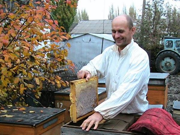 Уроки пчеловодства от Кривчикова - фото