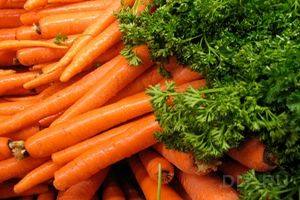 Сырая или вареная: полезные свойства моркови для организма человека с фото
