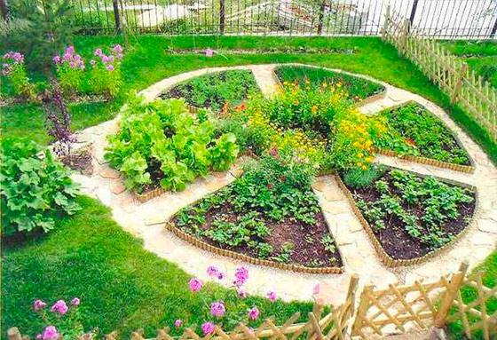 Огород и творчество: как оригинально разместить грядки на даче с фото