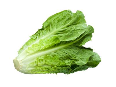 Хрустящий и сочный салат Романо: фото, описание и полезные свойства овоща - фото