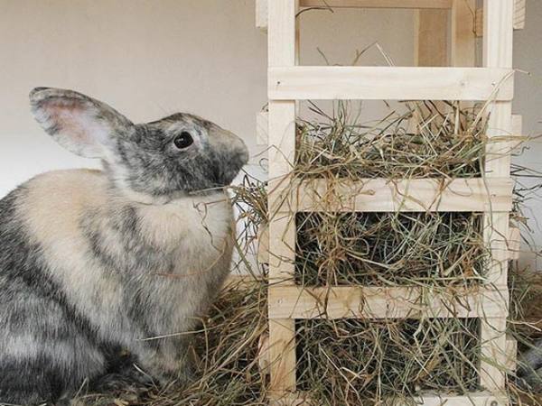 Самостоятельно сооружаем кроликам ясли для сена с фото