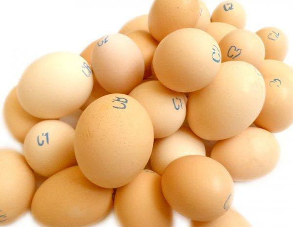 Секреты куриного яйца: узнаем вес - фото