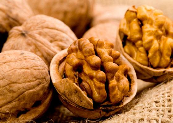 Описания скороплодных сортов грецких орехов и советы по их выращиванию с фото
