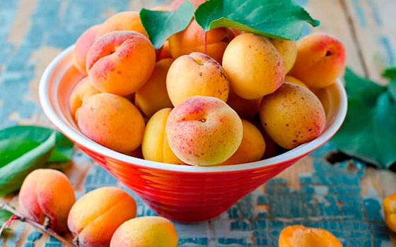 Все о сорте абрикоса Северный Триумф  выращиваем вкусные фрукты - фото