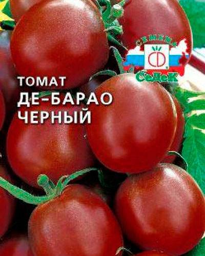Урожайный экзот: черный томат Де Барао с фото