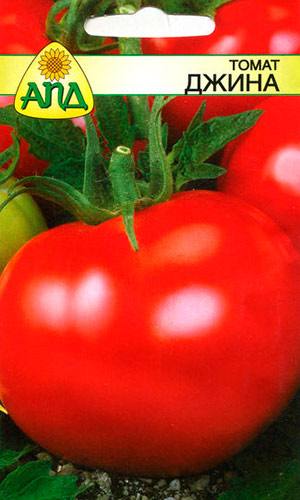 Суперранний сорт томатов Джина с фото