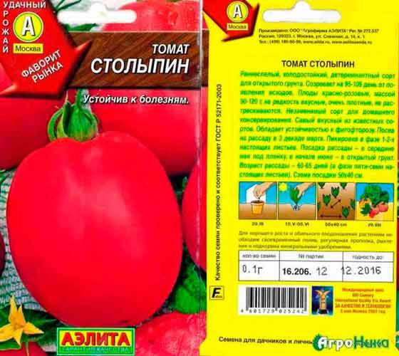 Ранний и неприхотливый сорт помидоров Столыпин - фото