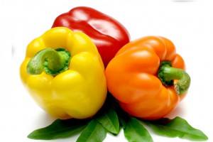 Болгарский перец: польза, вред и состав витаминов в зависимости от цвета - фото