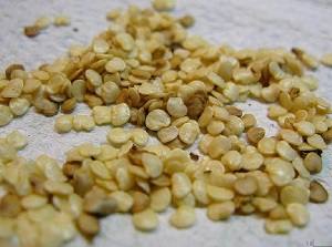 Как сажать баклажаны на рассаду: выбор семян и грунта, посев и выращивание, ... - фото
